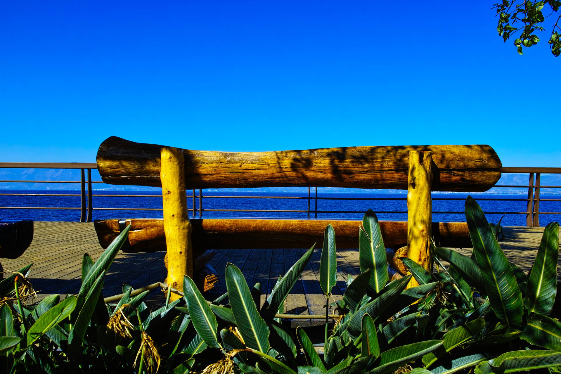 _P1M0022_小.jpg