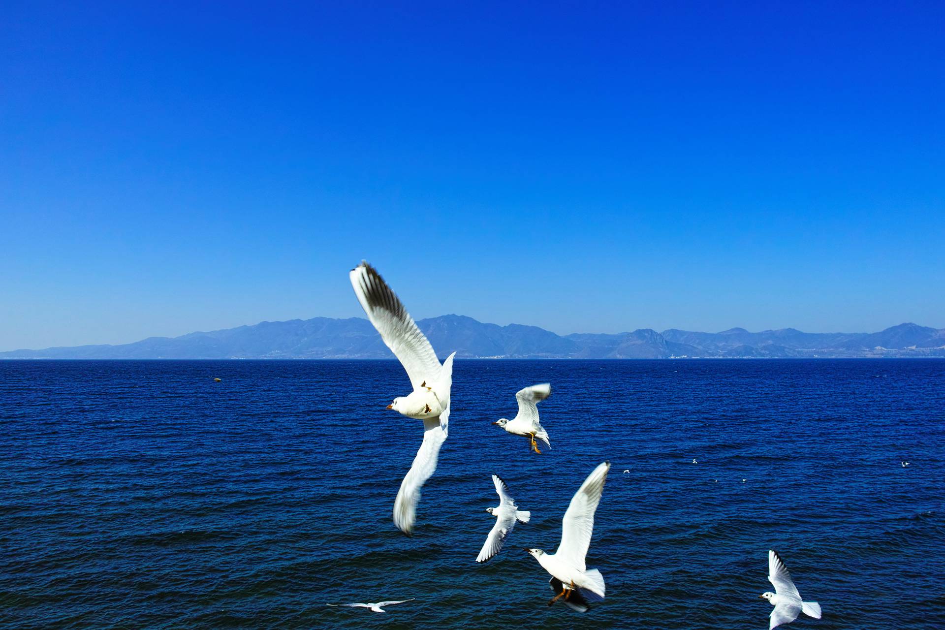 _P1M0034_小.jpg